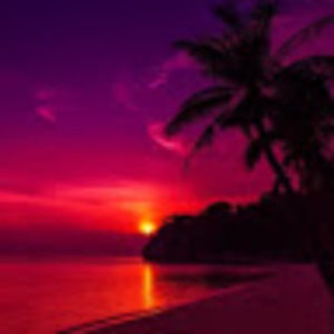 Meet your Posher, Chloe